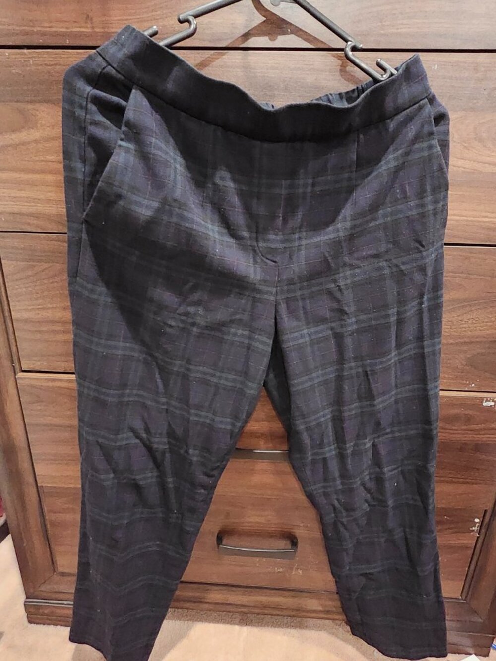 Aritzia Conan pants